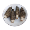Morilles séchées